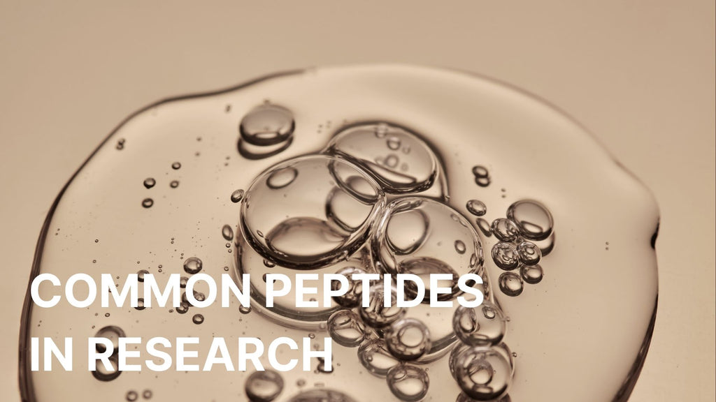A Guide to Peptides